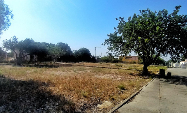 Venta - Chalet - Elche pedanias - Llano de san jose
