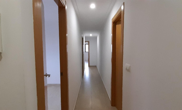 Alquiler a largo plazo - Piso - Elche - Ciudad Jardin