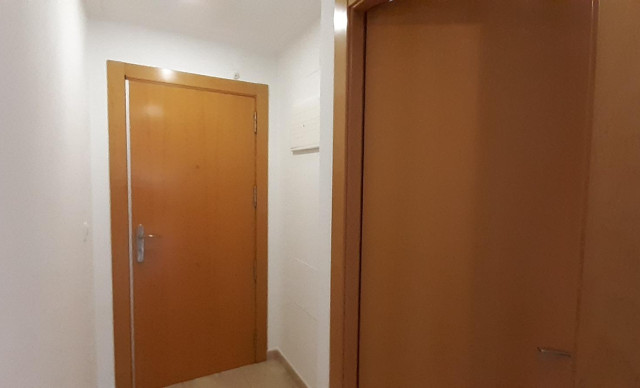 Alquiler a largo plazo - Piso - Elche - Ciudad Jardin