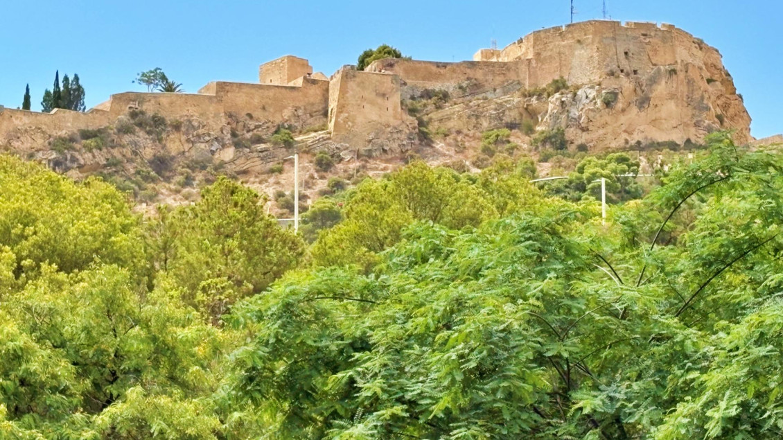 Revente - Planta baja - Alicante - Carolinas bajas