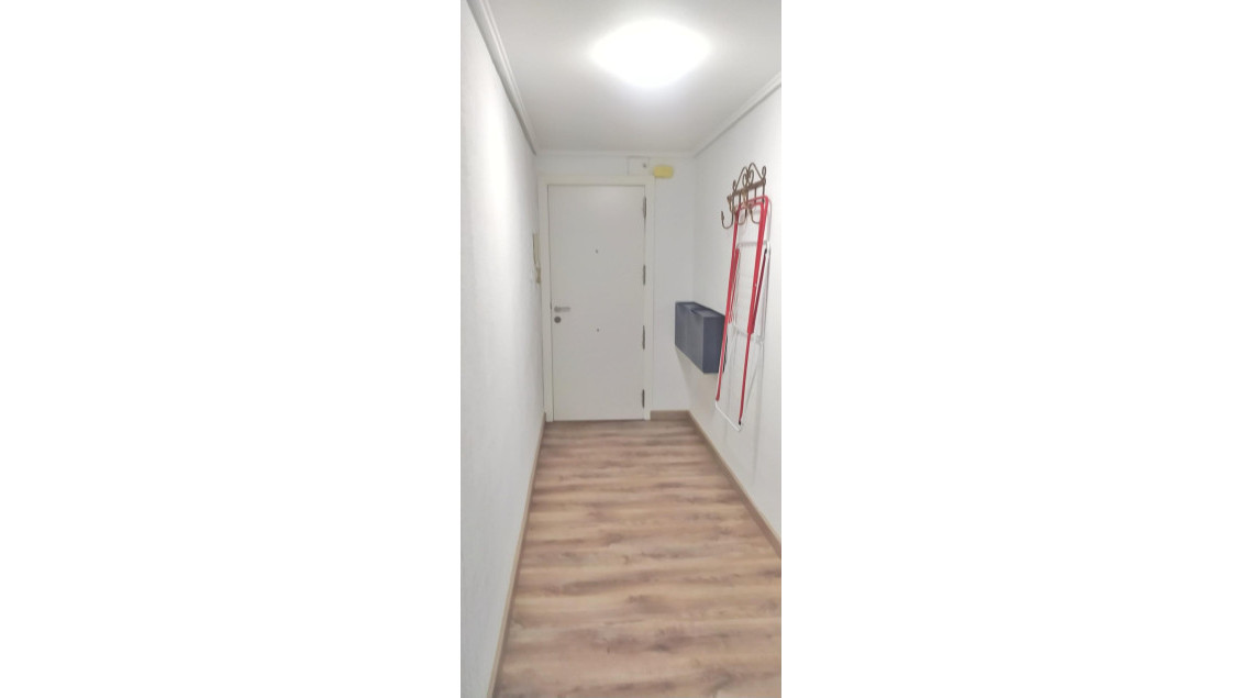Long time Rental - Piso - Elche - Centro