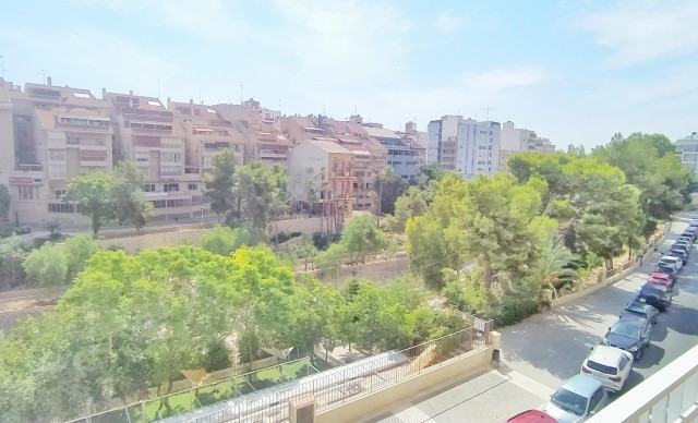 Long time Rental - Piso - Elche - Centro