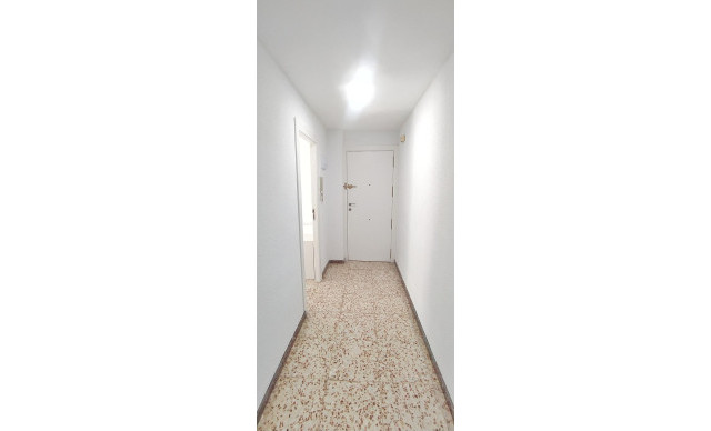 Long time Rental - Piso - Elche - Asilo - Pisos Azules