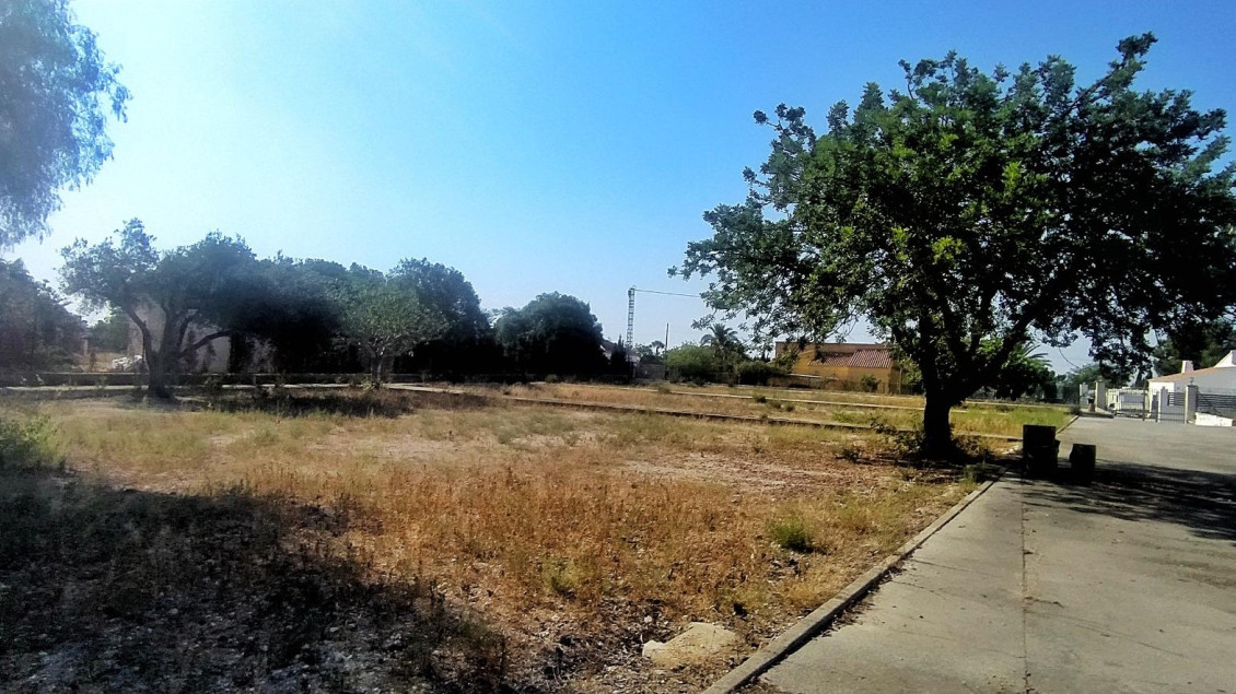 Venta - Chalet - Elche pedanias - Llano de san jose