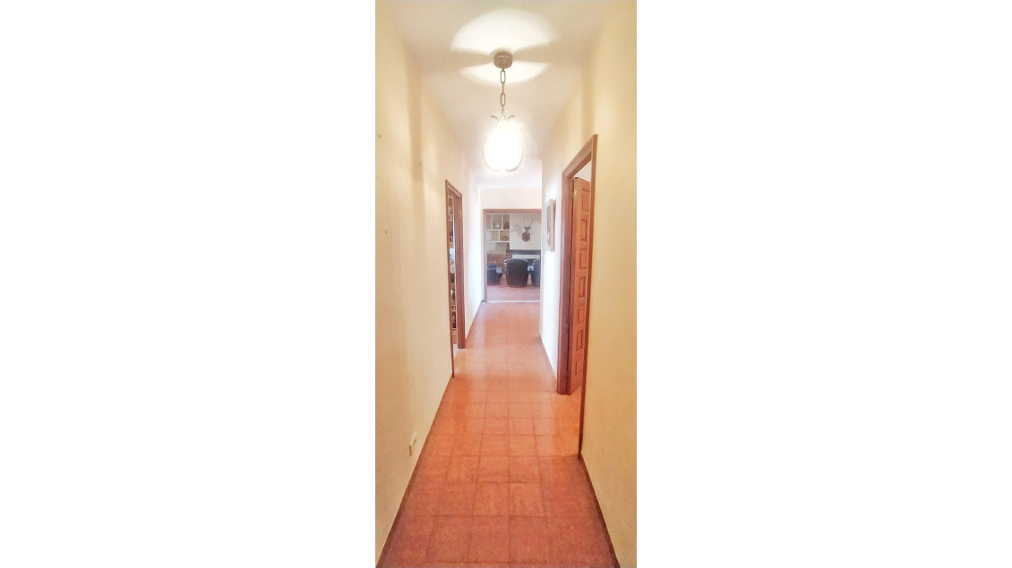 Venta - Chalet - Elche pedanias - Llano de san jose