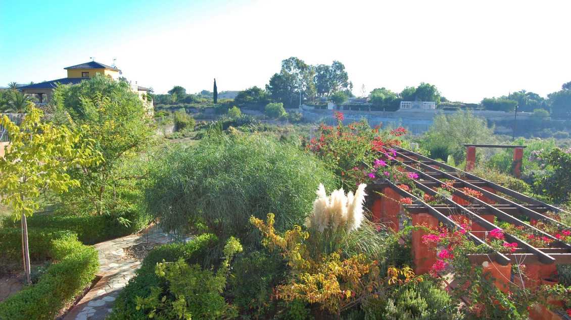 Venta - Chalet - Crevillent - CAMPILLOS