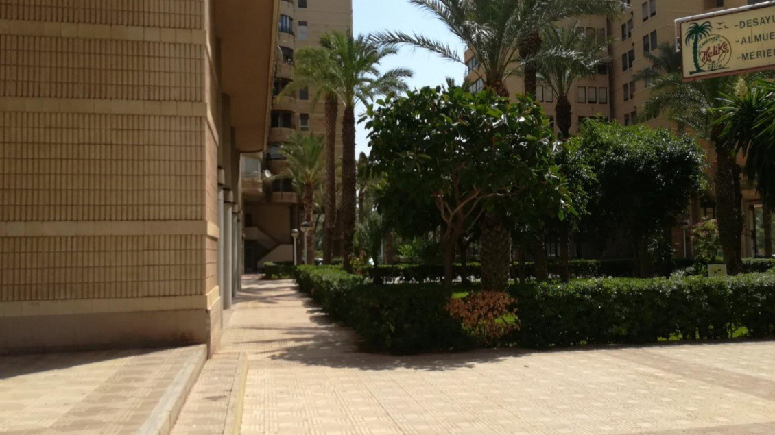 Venta - Piso - Elche - Centro