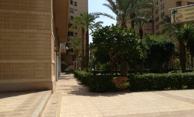 Venta - Piso - Elche - Centro