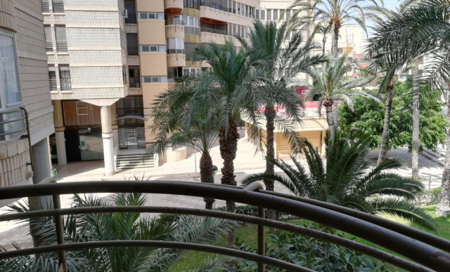 Venta - Piso - Elche - Centro