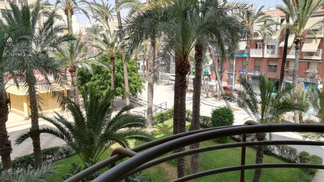 Venta - Piso - Elche - Centro