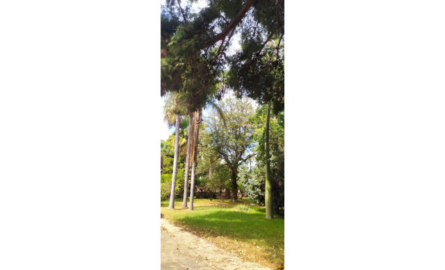 Venta - Chalet - Elche pedanias - Perleta