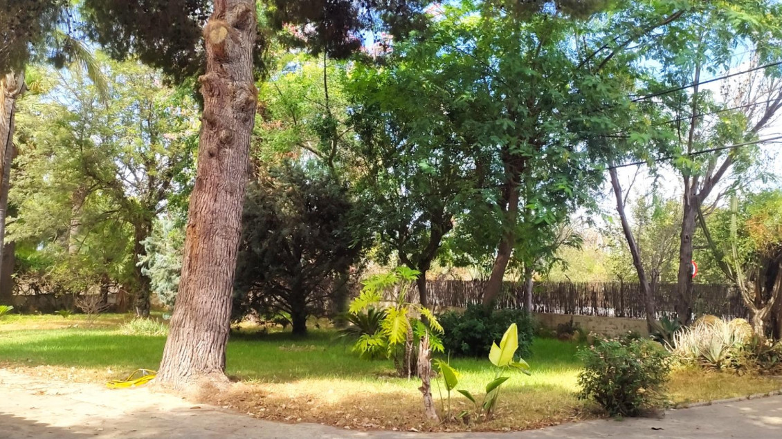 Venta - Chalet - Elche pedanias - Perleta