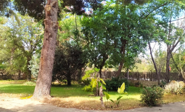 Venta - Chalet - Elche pedanias - Perleta