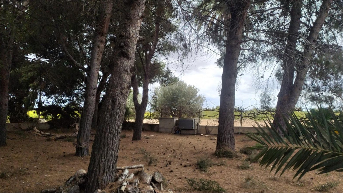 Venta - Chalet - Elche pedanias - Perleta