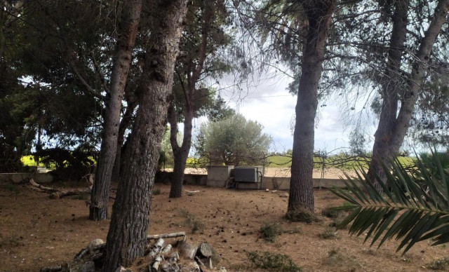 Venta - Chalet - Elche pedanias - Perleta