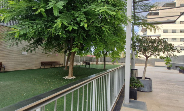 Venta - Piso - Elche - Porcelanosa