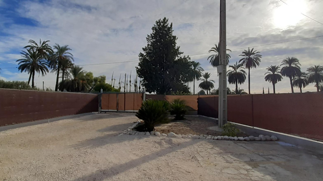 Alquiler a largo plazo - Chalet - Elche pedanias - Algoda