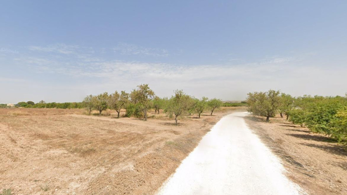 Alquiler a largo plazo - Parcela - Torrellano - TORRELLANO