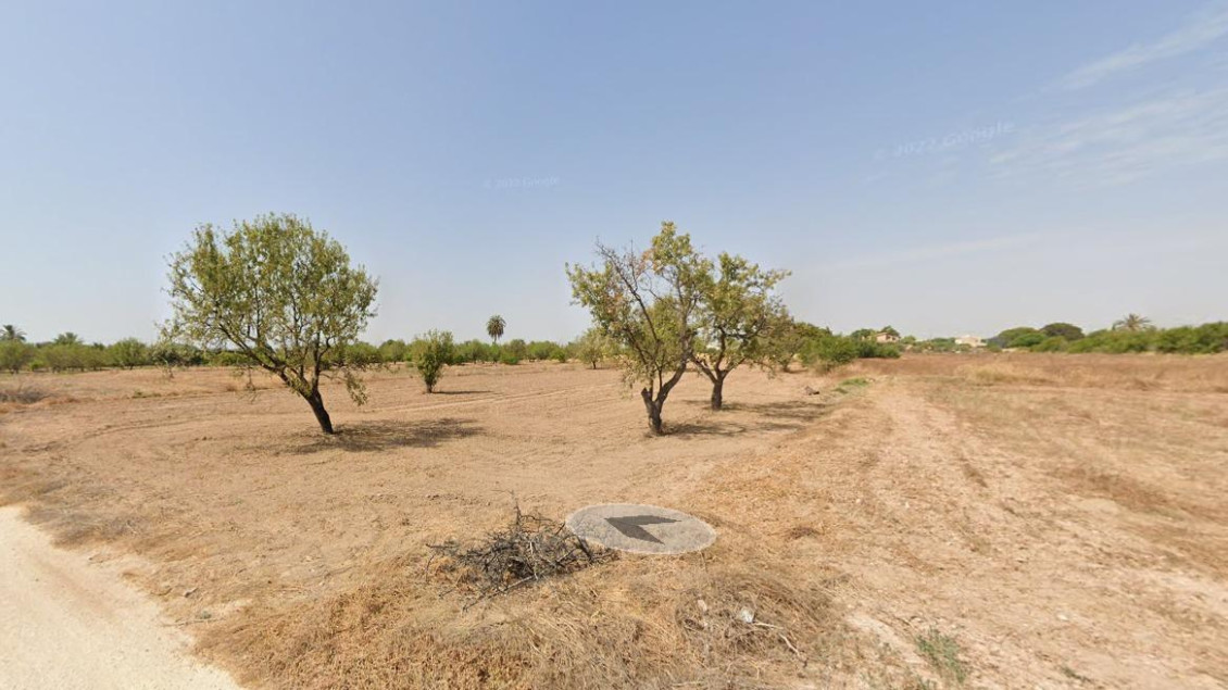 Alquiler a largo plazo - Parcela - Torrellano - TORRELLANO