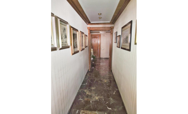 Venta - Piso - Elche - Centro