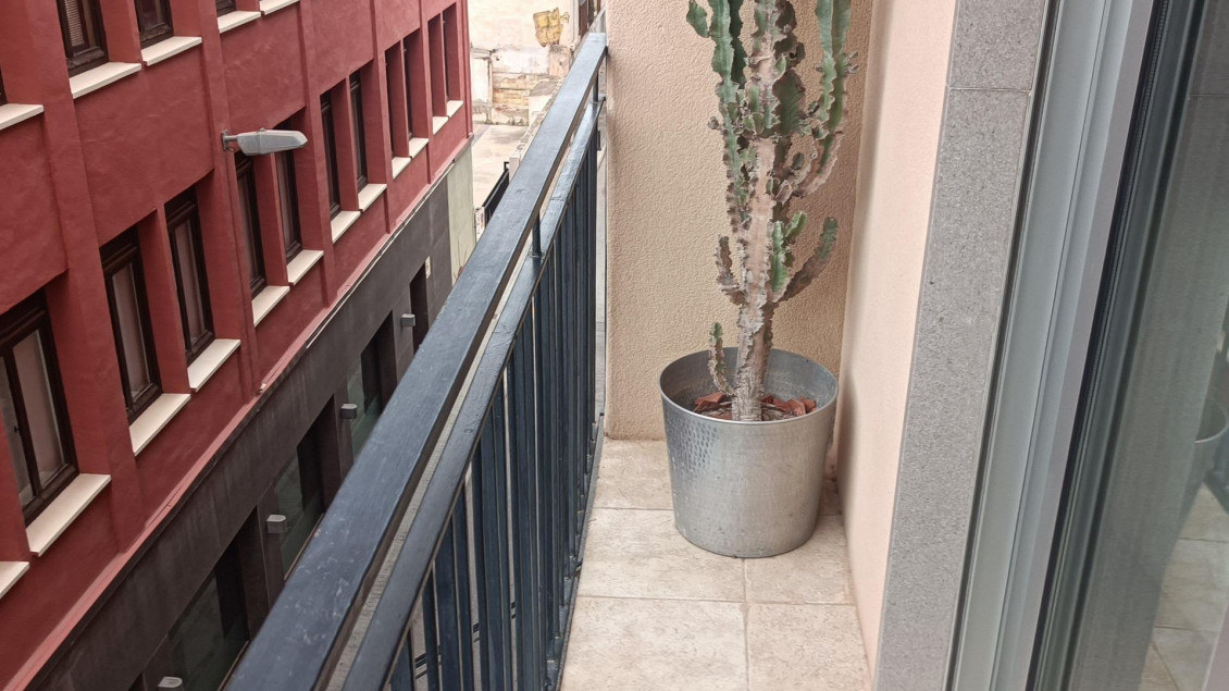 Location longue durée - Piso - Elche - Centro