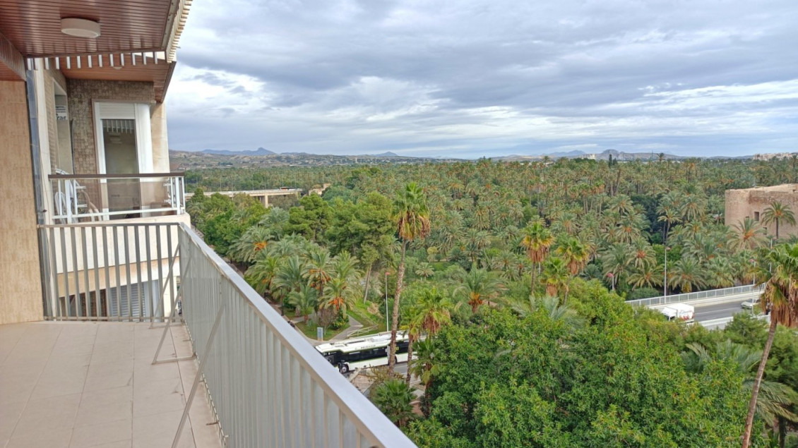 Long time Rental - Piso - Elche - Centro