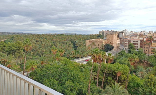 Long time Rental - Piso - Elche - Centro