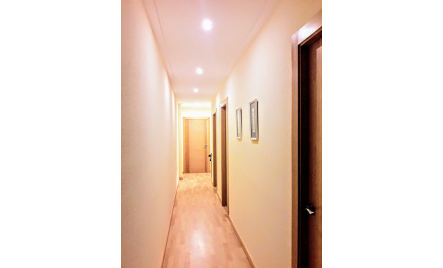 Alquiler a largo plazo - Piso - Elche - Raval - Puertas Coloradas