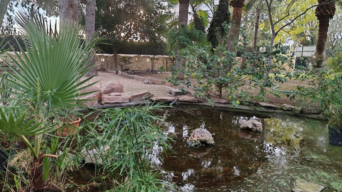 Revente - Chalet - Perleta - Maitino-Perleta