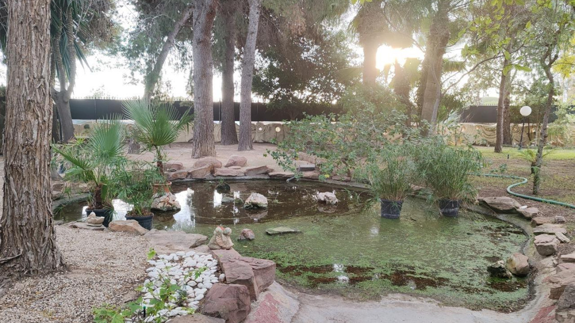 Revente - Chalet - Perleta - Maitino-Perleta