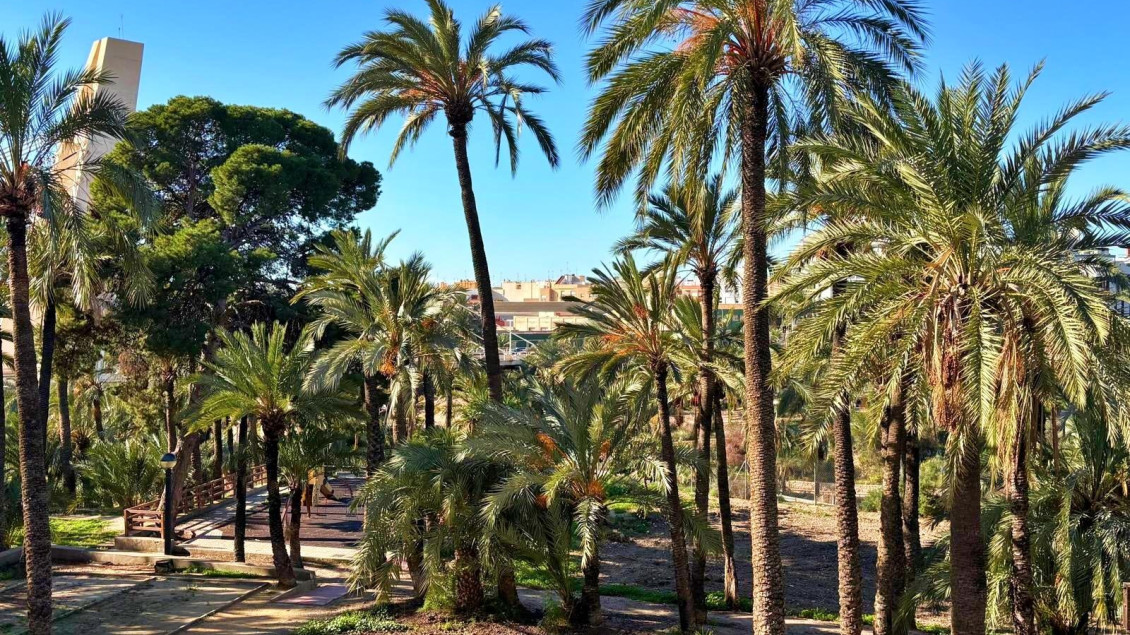 Venta - Piso - Elche - Raval - Puertas Coloradas