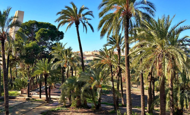 Venta - Piso - Elche - Raval - Puertas Coloradas