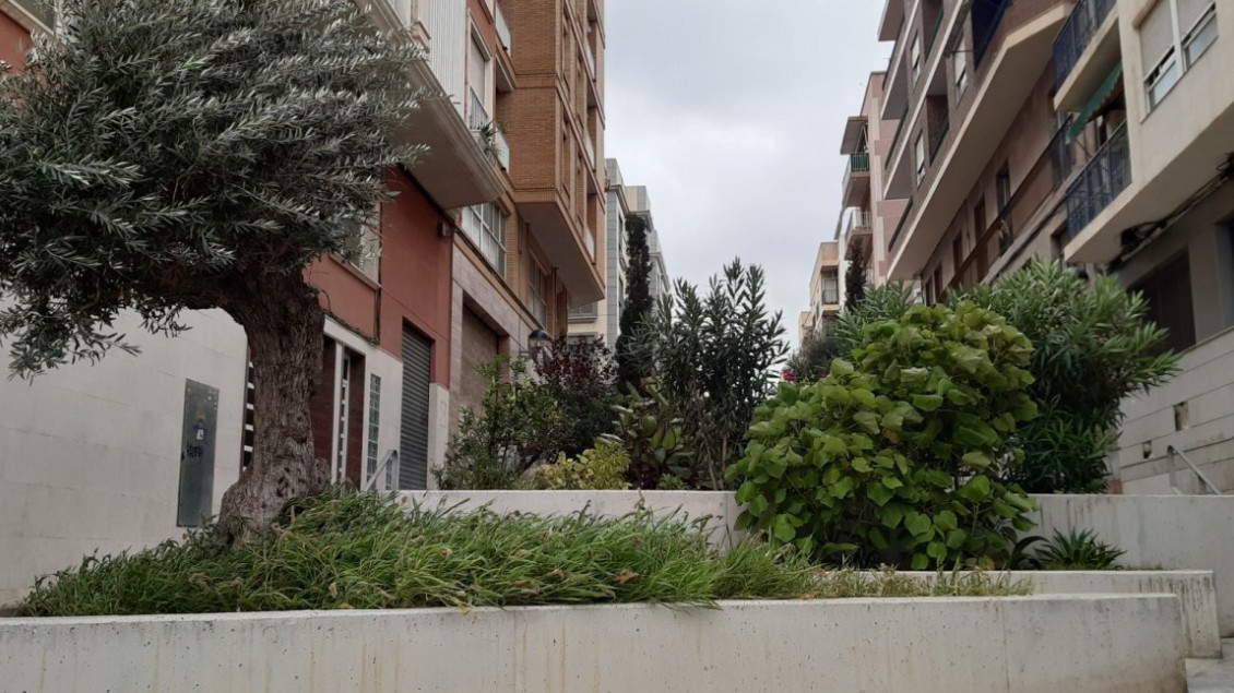 Long time Rental - Piso - Elche - Corazon de Jesus