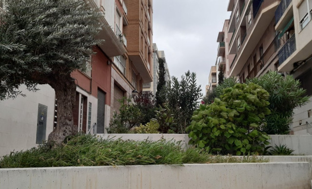 Long time Rental - Piso - Elche - Corazon de Jesus