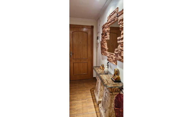 Location longue durée - Piso - Elche - Plaza Crevillente-Juzgados