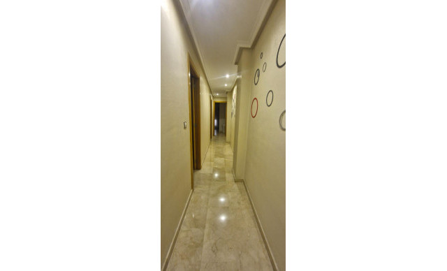 Location longue durée - Piso - Elche - Plaza Obispo Siuri