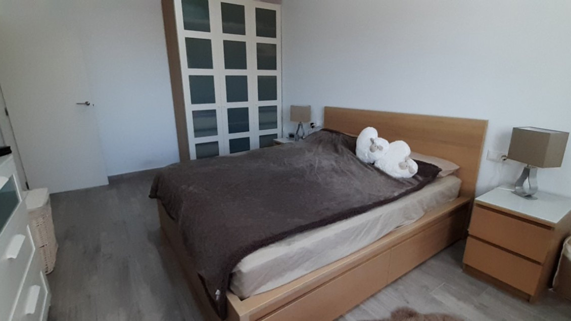 Alquiler a largo plazo - Chalet - Elche pedanias - Algoda