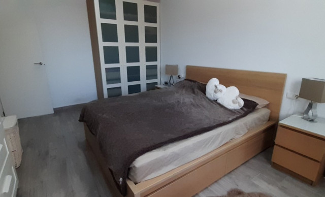 Alquiler a largo plazo - Chalet - Elche pedanias - Algoda