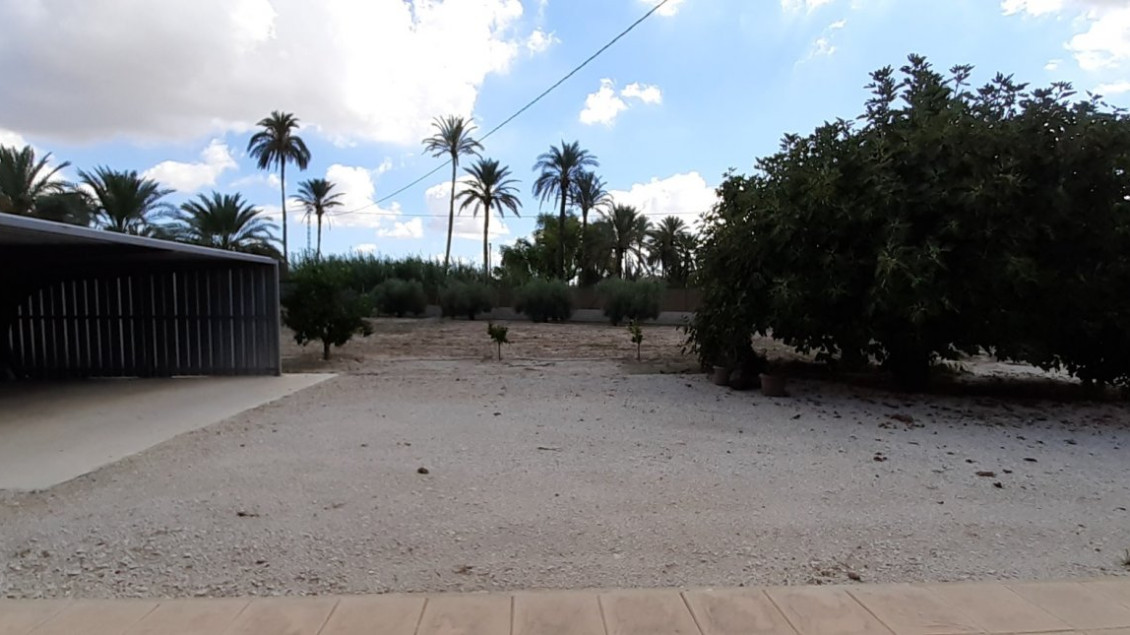 Alquiler a largo plazo - Chalet - Elche pedanias - Algoda