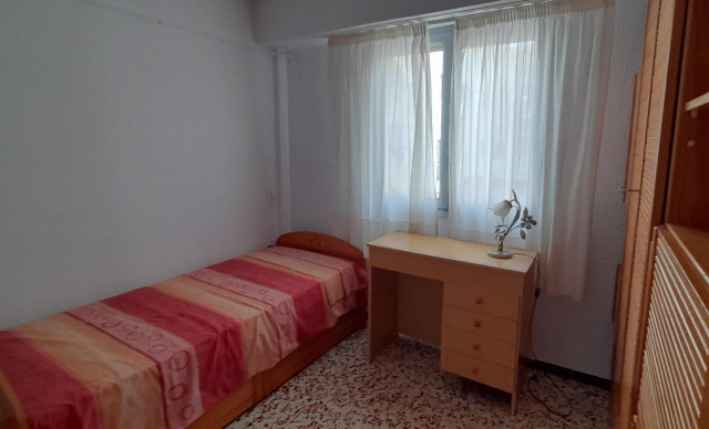 Alquiler a largo plazo - Piso - Elche - Plaza Crevillente-Juzgados