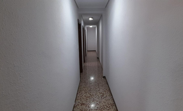 Alquiler a largo plazo - Piso - Elche - Plaza Crevillente-Juzgados