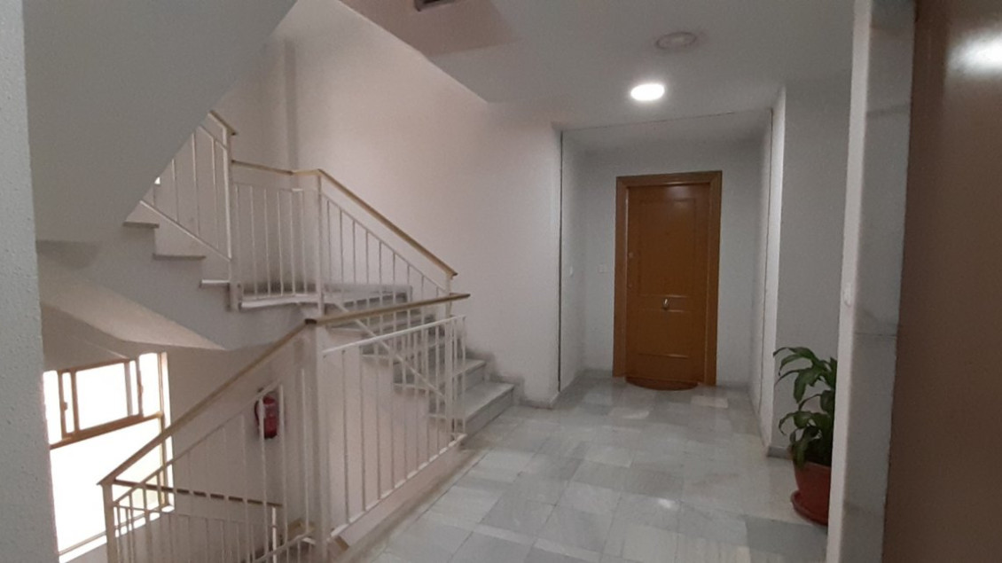 Alquiler a largo plazo - Piso - Elche - Sector Quinto