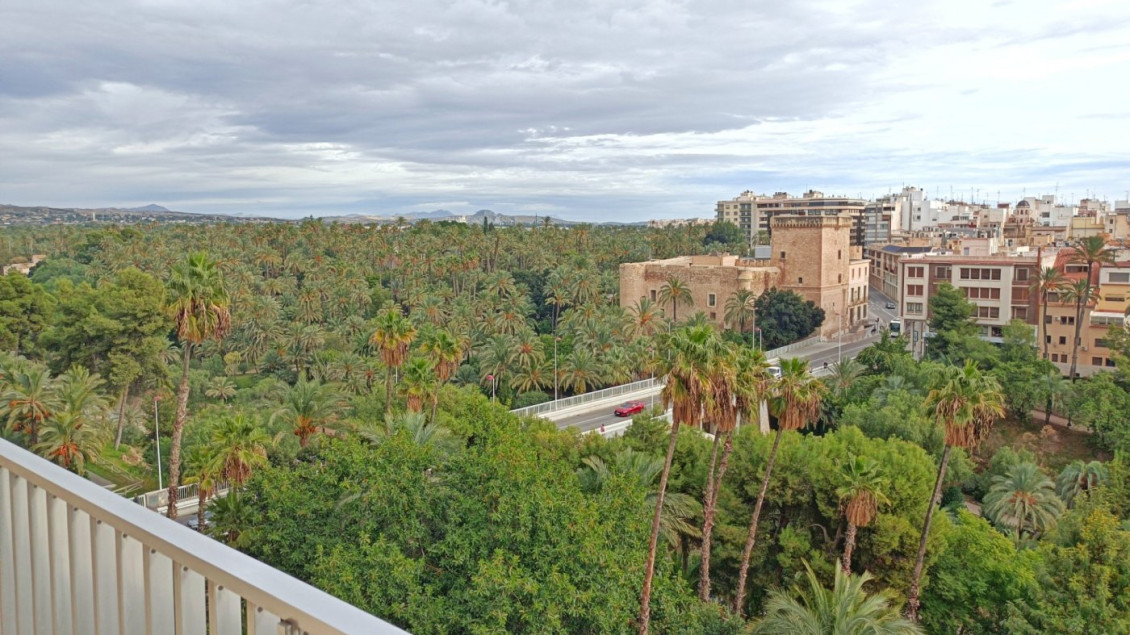 Alquiler a largo plazo - Piso - Elche - Centro