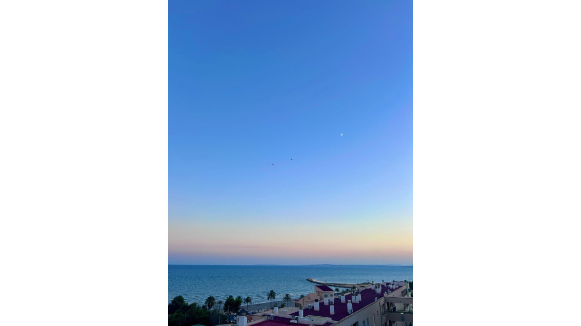 Venta - Estudio - Santa Pola - Varadero
